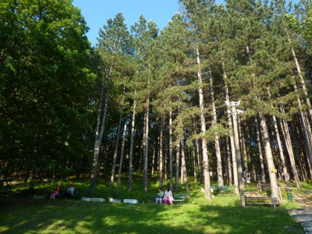 Guesthouse Edelnice Gornja Trepca Exterior photo