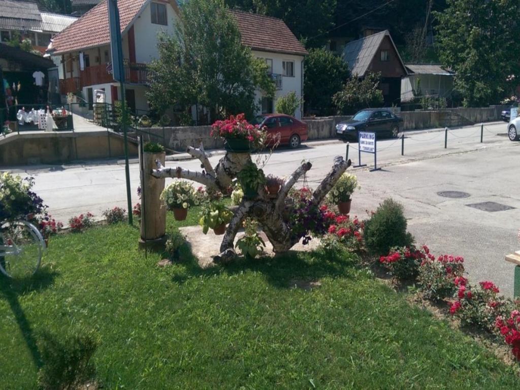 Guesthouse Edelnice Gornja Trepca Exterior photo