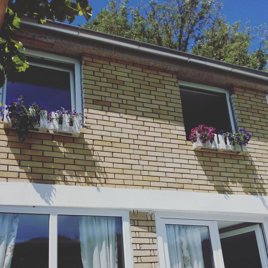 Guesthouse Edelnice Gornja Trepca Exterior photo