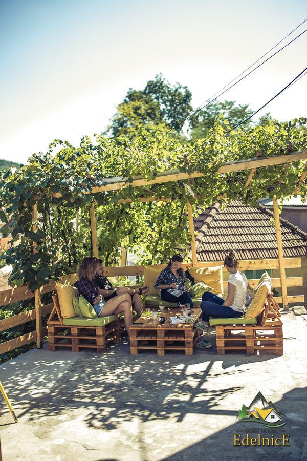Guesthouse Edelnice Gornja Trepca Exterior photo